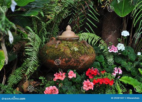 Old Clay Pot in garden stock image. Image of green, outdoors - 29281557