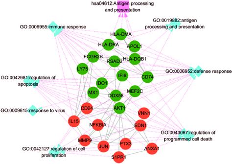 The Network Involving The Common Pathway And Biological Processes And Download Scientific