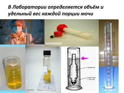 PPT - проба Зимницкого PowerPoint Presentation, free download - ID:4261508