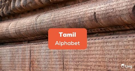 Guide #101: Fascinating Tamil Alphabet For You - ling-app.com