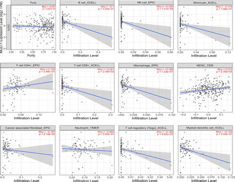 High expression of the ferroptosis‐associated MGST1 gene in relation to ...