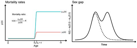 Sex Differential Dynamics In Coherent Mortality Models