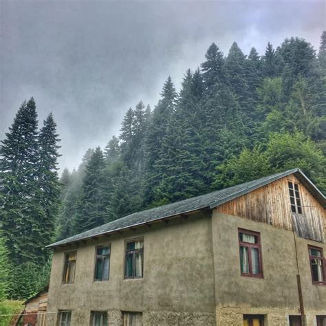 Saojaxo Sastumro Shovshi