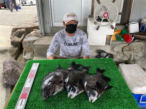 磯釣りで石鯛50㎝・イシガキ2枚・ゲット！ 一栄丸渡船｜三重県紀北町