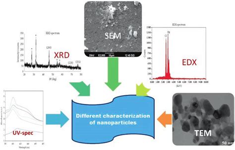 3 Characterization of nanoparticles | Download Scientific Diagram