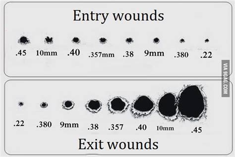 Damage Comparison From Different Sized Bullets Gag