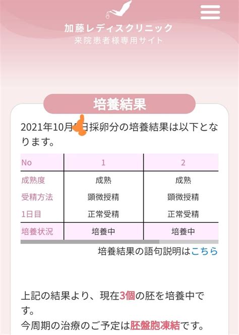 【不妊治療振り返り】klc 採卵②回目pgt A 受精結果 3度目婚 42歳からの妊活 45歳11ヶ月でママに