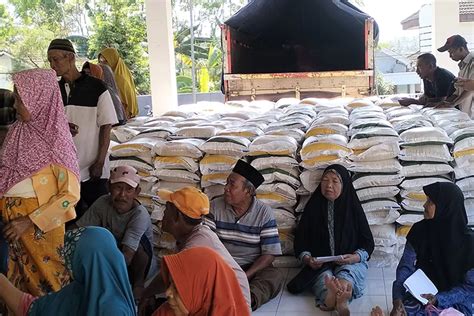 Data Kpm Menjadi Dasar Pemkab Jember Salurkan Bantuan Dari Pemerintah