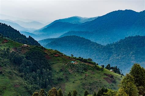 Bwindi Impenetrable National Park Unvailing Its Secrets