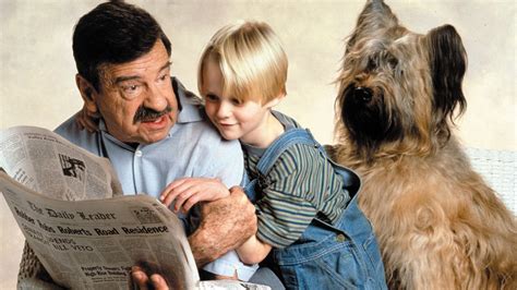 Dennis The Menace 1993 Backdrops — The Movie Database Tmdb