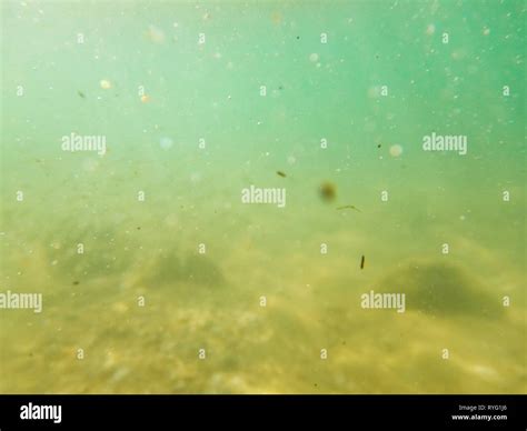 Blurred Underwater Shot Of Muddy Water Out Of Focus Underwater Image