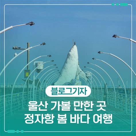 울산 가볼 만한 곳 정자항 봄 바다 여행 울산광역시 웰로