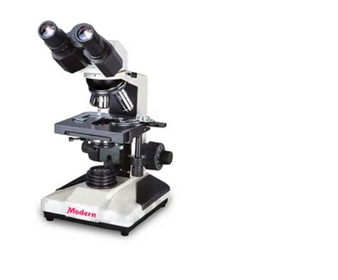 Stereo Binocular Microscope at Rs 75000/piece | Microscope in Chennai | ID: 24577137891