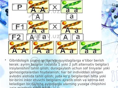 Irsiyatning Umumiy Qonuniyatlari G Mendelning Irsiyat Qonunlari Va