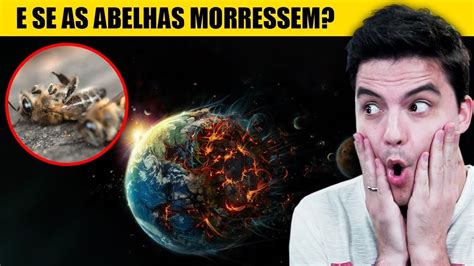 ANIMAIS QUE PODEM ACABAR O PLANETA 10 YouTube