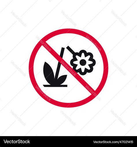 Do Not Pick Flowers Rohibited Sign No Pluck Vector Image