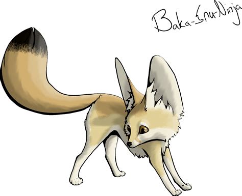 Cute Fennec Fox Transparent Image Png Arts