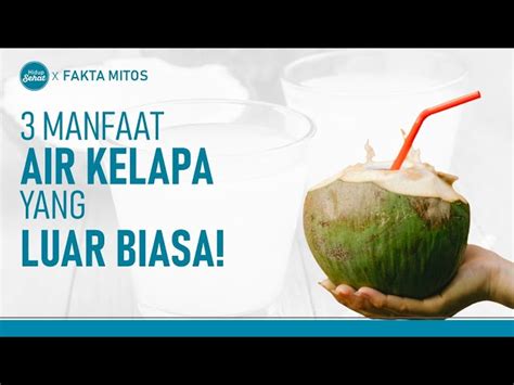 Manfaat Air Kelapa Muda Yang Jarang Diketahui Solider