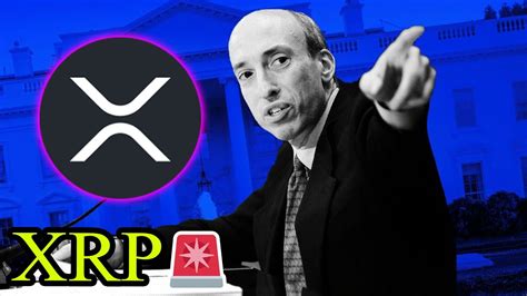 XRP RIPPLE GARY GENSLER IS LITERALLY SH TTING HIS PANTS AND MR POOL