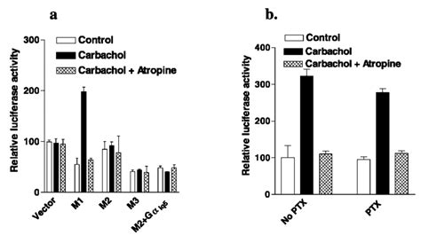 Panel A Srf Mediated Gene Transcription By Muscarinic Receptor