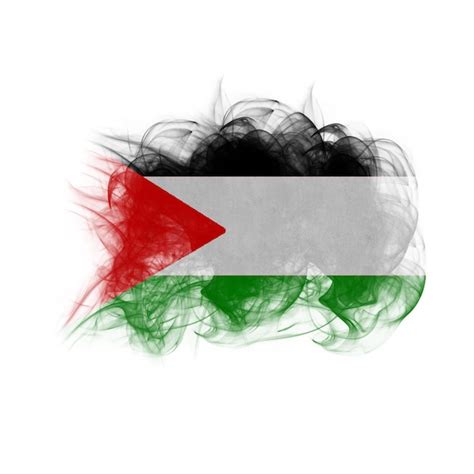 La Bandera De Palestina En El Pincel Foto Premium