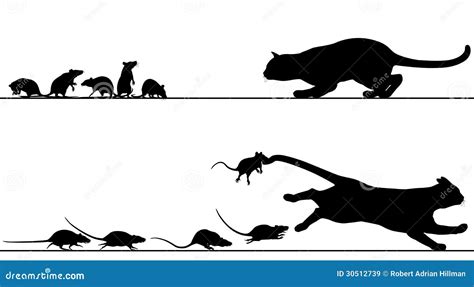 Rats Chasing Cat Royalty Free Stock Images - Image: 30512739