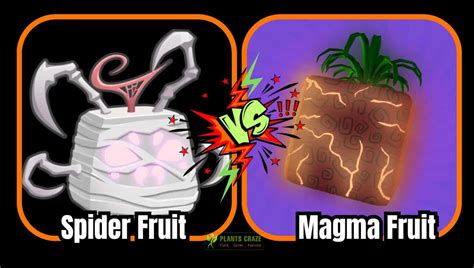 Is Spider Better Than Magma? A Complete Guide For Beginners