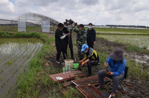 解码黑土地，助力东北地区全面振兴发展 ——指挥中心全面开展黑土地地表基质调查 中国地质调查局自然资源综合调查指挥中心