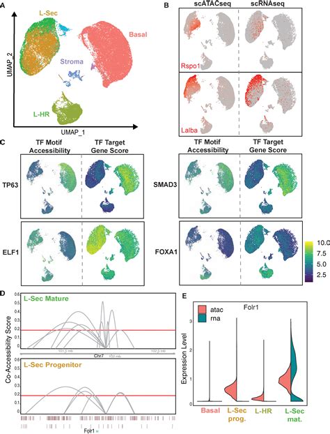 Integrated Single Cell Transcriptomics And Chromatin Accessibility