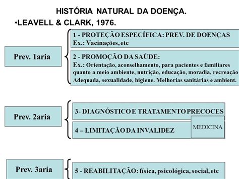 Total Imagem Modelo Da Historia Natural Da Doen A Br