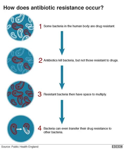 How Antibiotic Resistance Could Take Us Back To The Dark Ages