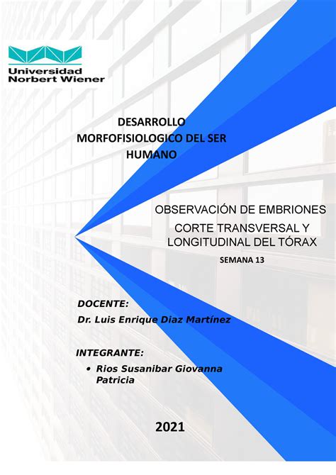 Md2m2 Corte Transversal Y Longitudinal Del Tórax Sem 13 Giovanna Rios 2021 Integrante Rios