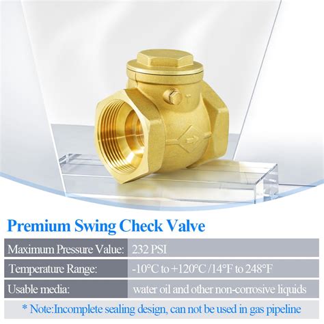 Snapklik Wisewater Fnpt Brass Swing Check Valve In Line