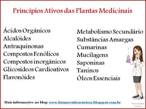 Princípios Ativos das Plantas Medicinais Informações no Blog