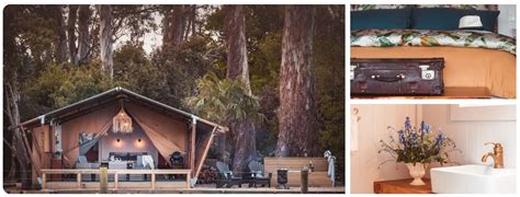 Glamping In New Zealand 22 Epic Glamping Spots Finding Alexx