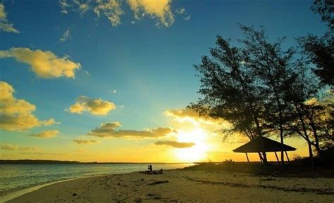 Wisata Taman Nasional Wakatobi Surga Bawah Laut Di Sulawesi Sulawesi