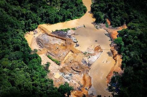 Contaminação por mercúrio ameaça saúde dos Yanomami