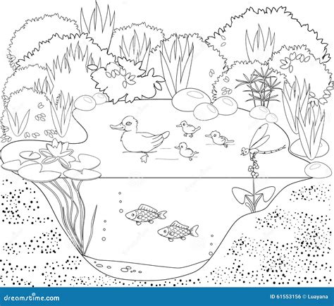 Coloring Duck Pond Stock Vector Image 61553156