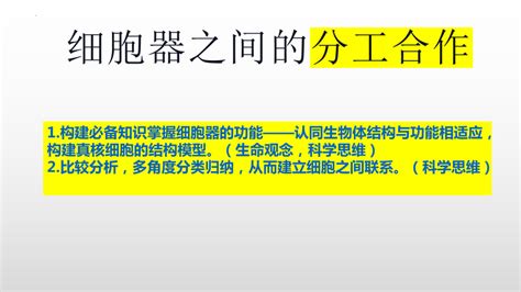 2023届高三生物一轮复习课件：细胞器之间的分工合作（46张ppt） 21世纪教育网