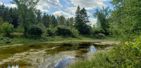 Best Hikes And Trails In Balsam Lake Provincial Park Alltrails