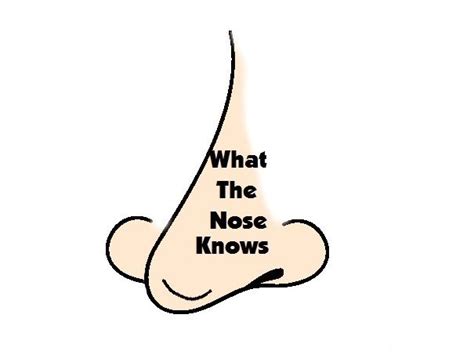 Pin By KENDA DAVIS The Sequel On What The Nose Knows Nose Sayings