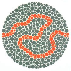 COLOUR BLIND TEST BOOK ISHIHARA 38 PLATES FIRST COPY