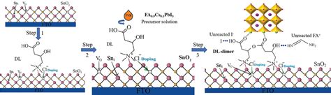 Proposed Working Mechanism Of DL At Perovskite SnO2 Interface Step1