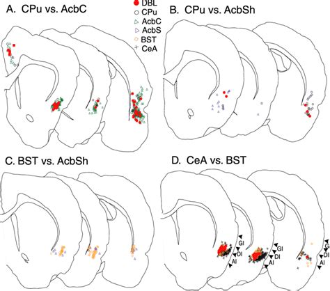 Plots Of Retrograde Labeling In The Insular Cortex At Anterior Middle