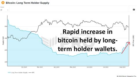 As baleias do Bitcoin estão comprando a queda GDH Press