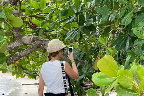 Tripadvisor Tour Durch Den Tortuguero Kanal Mit Dem Kanu Zur