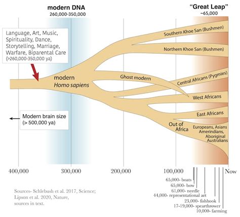 When Did We Become Fully Human What Fossils And Dna Tell Us About The