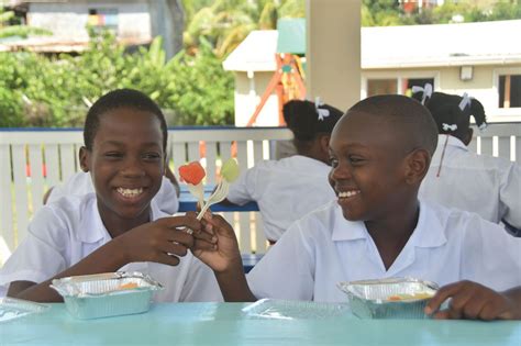 Seal Grenada: We Can Do This! - Oral Health Group