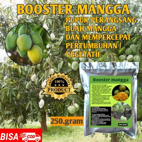 Jual Pupuk Booster Mangga Organik Untuk Pelebat Buah Dan Pertumbuhan