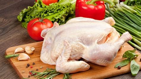 Harga Daging Ayam Broiler Hari Ini Kirim Ayam